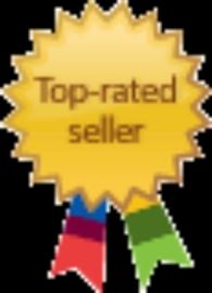 Ebay Top Seller Logo