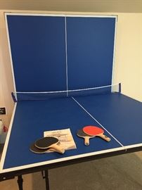REGULATION SIZE TABLE TENNIS