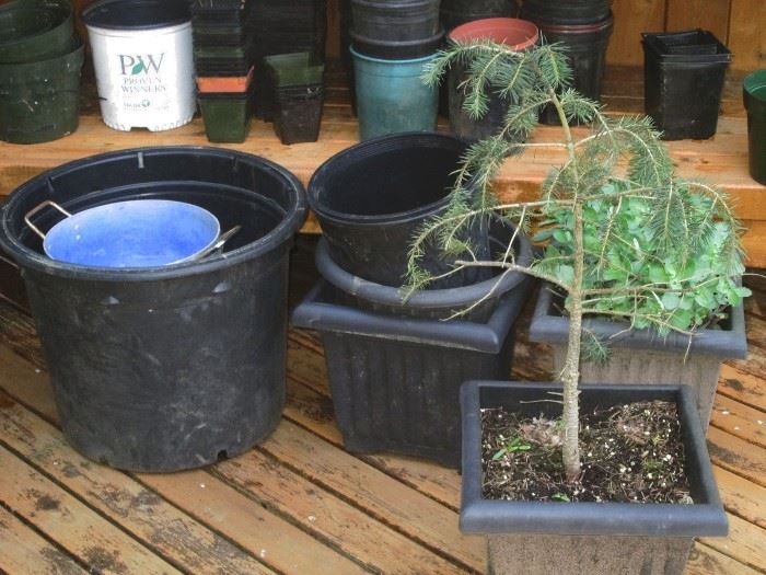 Back Deck: Plants, Pots