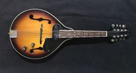 Fender electrified mandolin