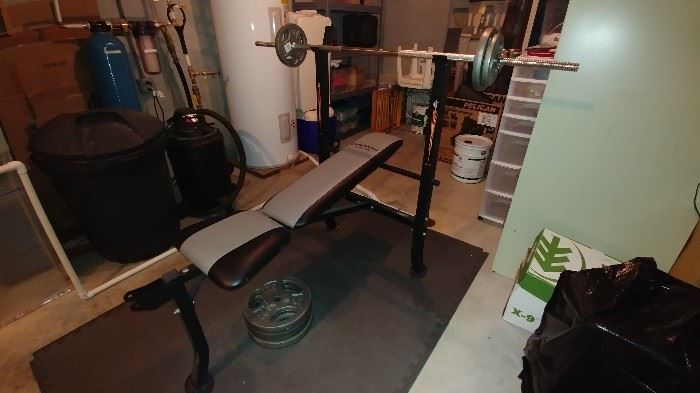 Weight bench and metal weights