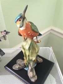 Fineart Collection bird