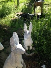 Once again, they are multiplying!