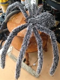 This Halloween spider lights up.