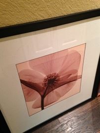 Contemporary companion framed art