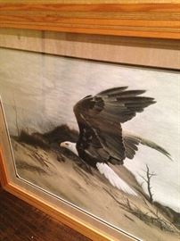 Eagle  framed  art