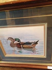 More wild duck framed art