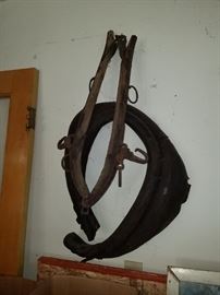 Primitives - Yoke, etc. 