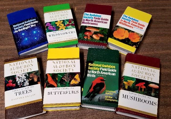 THE EVER POPULAR AUDUBON GUIDES - ALL SUBJECTS - INCLUDING THE SKY, WILDFLOWERS, FIELD GUIDE TO MUSHROOMS, FIELD GUIDE TO WILDFLOWERS, TREES, BUTTERFLIES, MORE
MUSHROOMS AND OF COURSE BIRDS!!!