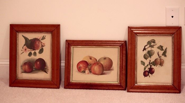 Antique fruit prints 