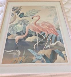 Flamingo Print. 