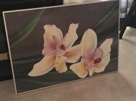 flower print