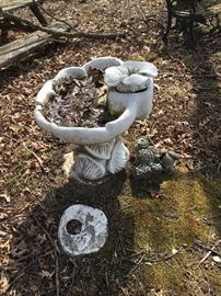 bird bath