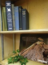 "Spirit of the Chaparral - The Magnificence of South Texas Wildlife"