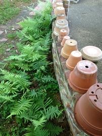 Variety of clay pots