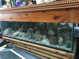 110 GAL AQUARIUM, 6' W, 19" D, 24" H