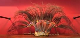 Headdress; Art of the Amazon