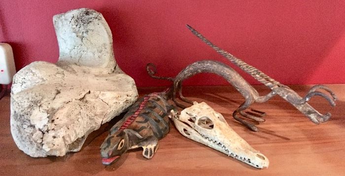 Whale Bone Bird, Alligator's "Smile", and More