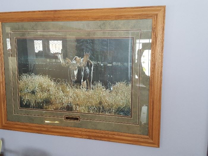 Oak framed print of moose