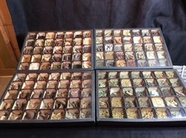 Spices, seeds, seed pods