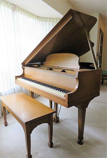 A.B. Chase Lester Piano Co. Baby Grand Piano