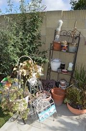 Backyard, Plants