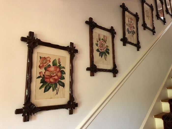 Collection of Camellia Prints 