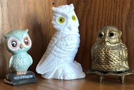 Asst Owls