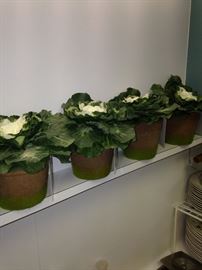 Small decorative artificial plants