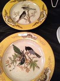 Bird plates