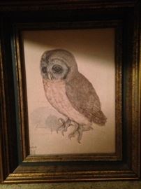Framed owl art