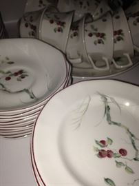 Adams "Persimmon" English Ironstone