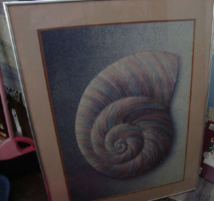 Large Framed Shell Print