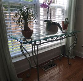 Live Plants and Wrought Iron Glass top Plant Stand / Sofa Table