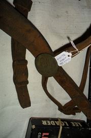Civil War Horse Bridal with Buttons/Medillions