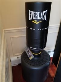 everlast punching bag