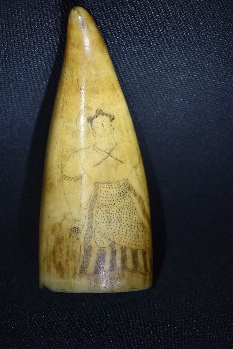 Authentic 1800's Scrimshaw Sperm Whale's Tooth
