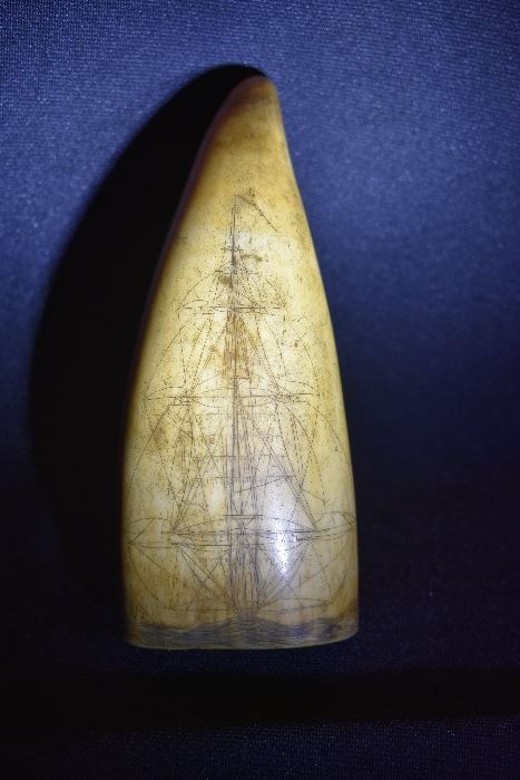 Authentic Scrimshaw 1810-1820 Sperm Whale's Tooth