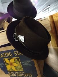 Vintage hats by Stetson etc.