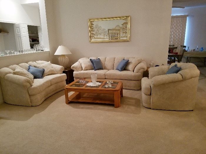 Nice living room furniture 