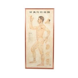 Traditional Acupuncture Site Diagram