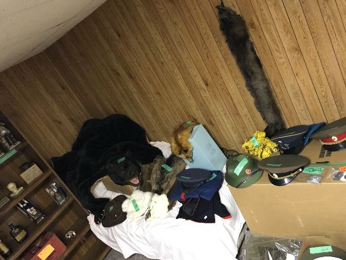 Artificial Black Bear rug, some misc animal pelts, along with misc military items.