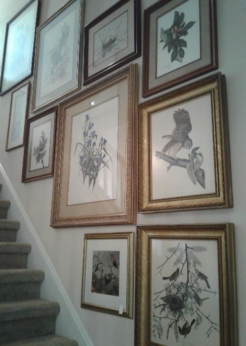 More glare issues,  but this stairwell gallery wall has stunning, well preserved signed prints and engravings, including signed and numbered C. Ford Riley's, Audubon engravings, a lovely Weisling and more!