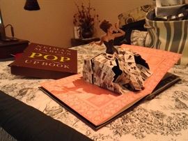 Pages from pop up book