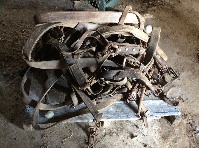 HUGE PILE OF ANTIQUE LEATHER HORSE HARNESSES
