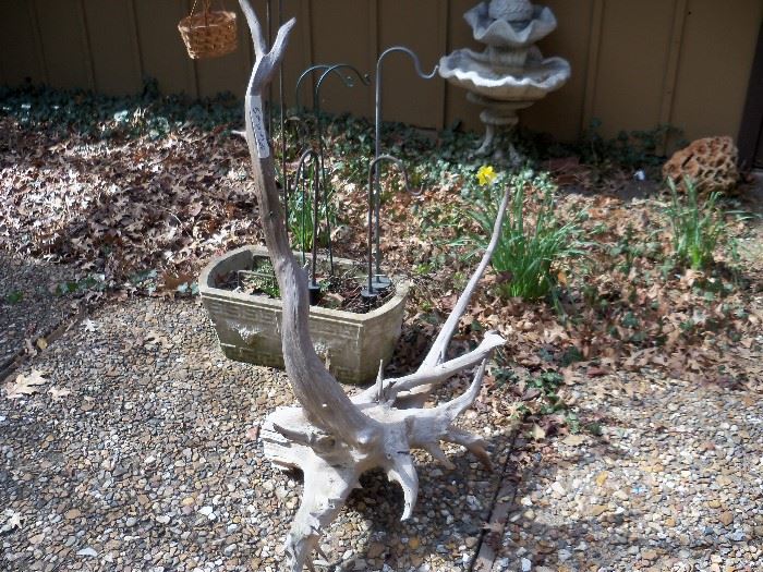 piece of driftwood and garden hooks