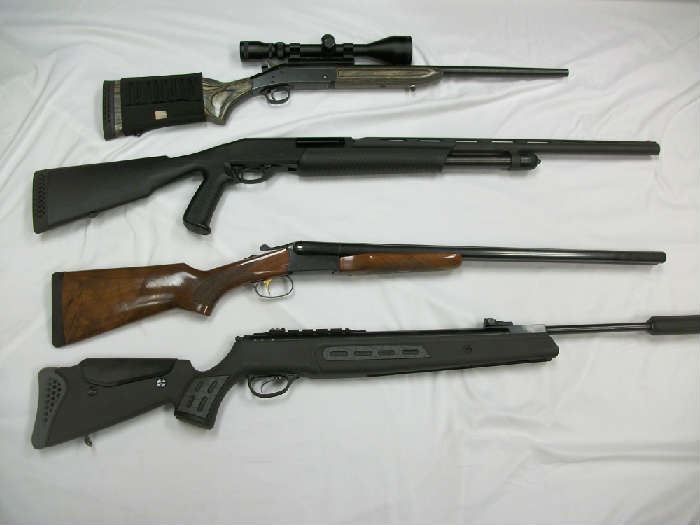 4 of the 9 long guns, all in good to excellent condition