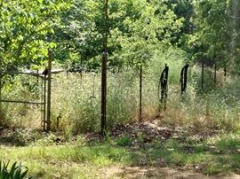 chicken wire fencing and posts