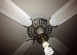 ceiling fan and medallion