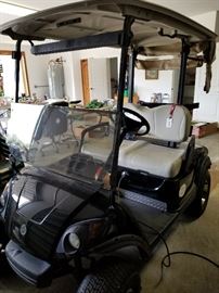We have two golf carts for sale!